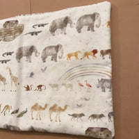Noah’s Ark Bible Cover